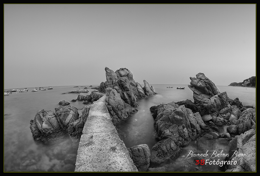 _BB_5493